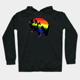 Rainbow Pig Hoodie